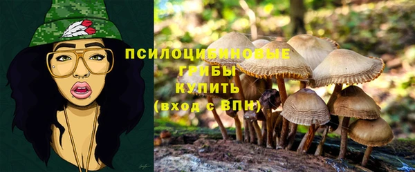 СК Алексеевка