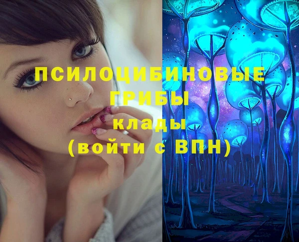 круглые Алексин