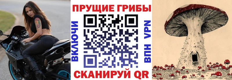 Псилоцибиновые грибы GOLDEN TEACHER  Лаишево 